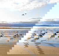 El Paso Motor Inn - Accommodation Brunswick Heads