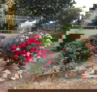 Statesman Motor Inn - Accommodation Brunswick Heads