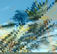 Base Magnetic Island Hostel - Accommodation Brunswick Heads