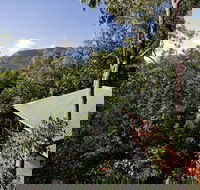 Thala Beach Nature Reserve - Accommodation Brunswick Heads