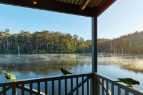 RAC Karri Valley Resort - Accommodation Brunswick Heads 5