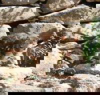 Jenolan Caves House - Accommodation Brunswick Heads
