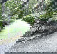 Mountain Lodge - Accommodation Brunswick Heads