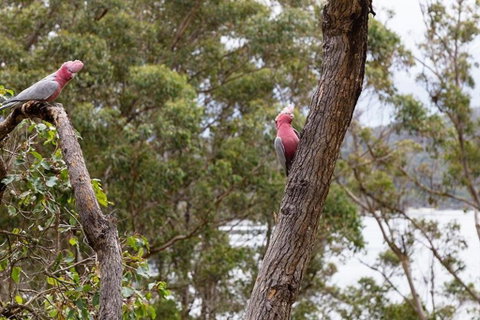 The Coombe On Wilson Inlet - Accommodation Brunswick Heads 6