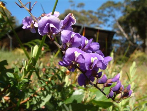 The Coombe On Wilson Inlet - Accommodation Brunswick Heads 4