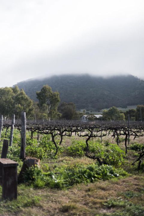 Hope Farm Guesthouse - Accommodation Brunswick Heads 2