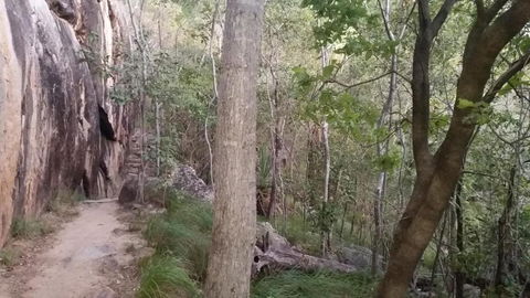 Shambhala Retreat Magnetic Island Cottages - Accommodation Brunswick Heads 5