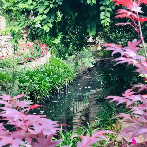 Aldgate Creek Cottage Bed & Breakfast - Accommodation Brunswick Heads 7