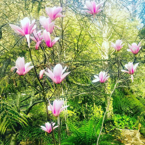 Aldgate Creek Cottage Bed & Breakfast - Accommodation Brunswick Heads 3