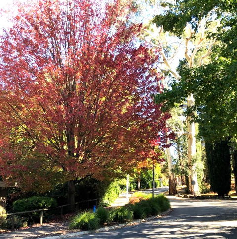 Aldgate Creek Cottage Bed & Breakfast - Accommodation Brunswick Heads 2