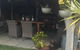 Yellow Gum Bed & Breakfast - thumb 4