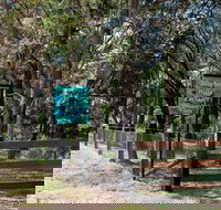 Blueberry Hills On Comleroy - Accommodation Brunswick Heads