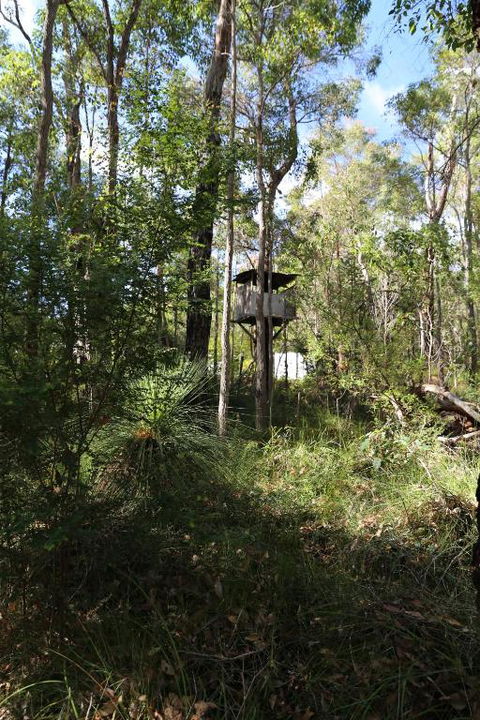 Nannup Bush Retreat - Accommodation Brunswick Heads 2
