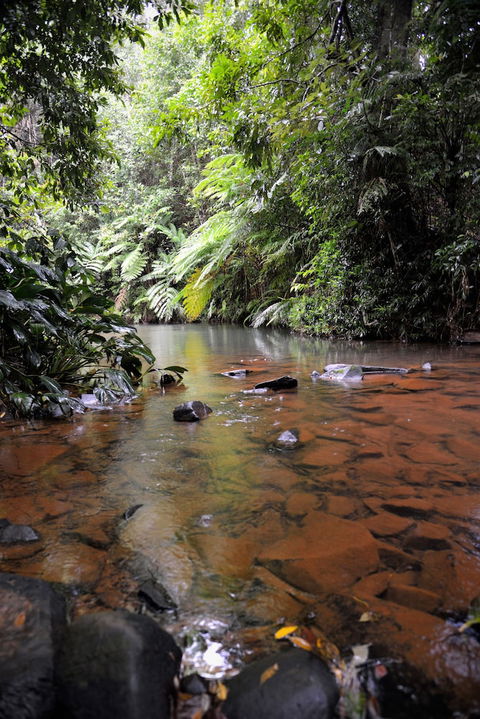 Mena Creek Flower House - Accommodation Brunswick Heads 2