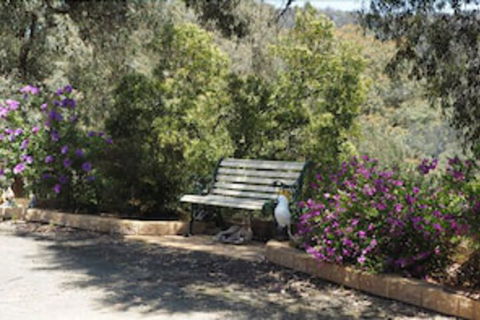 Wild Cherry Bed & Breakfast - Accommodation Brunswick Heads 3