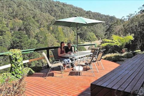 Wild Cherry Bed & Breakfast - Accommodation Brunswick Heads 4