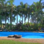 Fishery Falls Holiday Park - Accommodation Brunswick Heads 0