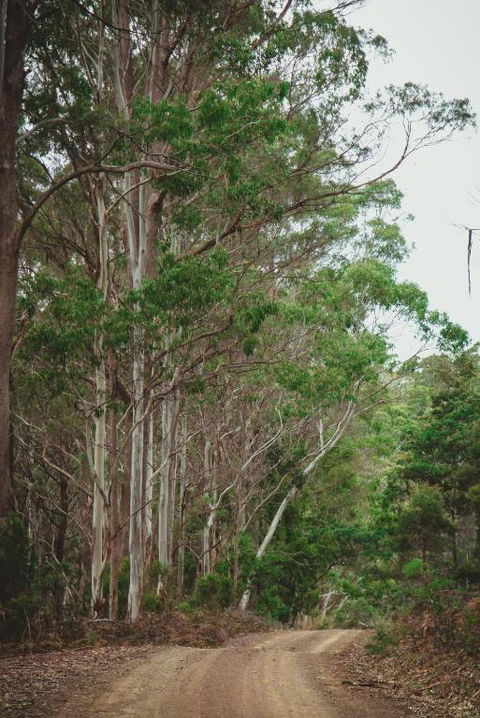 Naivasha Cottage - Accommodation Brunswick Heads 2