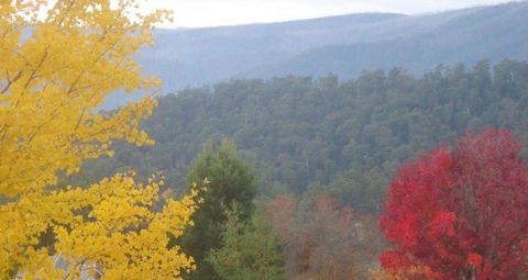 Goldberryaccommodation - Accommodation Brunswick Heads 6