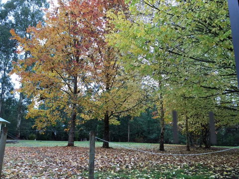 Goldberryaccommodation - Accommodation Brunswick Heads 1