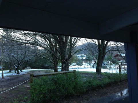 Goldberryaccommodation - Accommodation Brunswick Heads 2