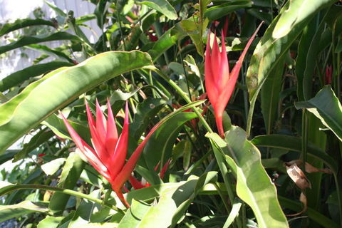 Scarborough Beach Break Holidays - Accommodation Brunswick Heads 2