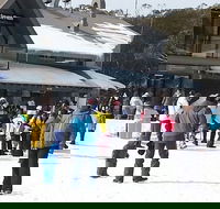 Discobulous 6 - Accommodation Brunswick Heads