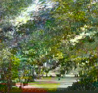 Banyan Tree Resort - Accommodation Brunswick Heads