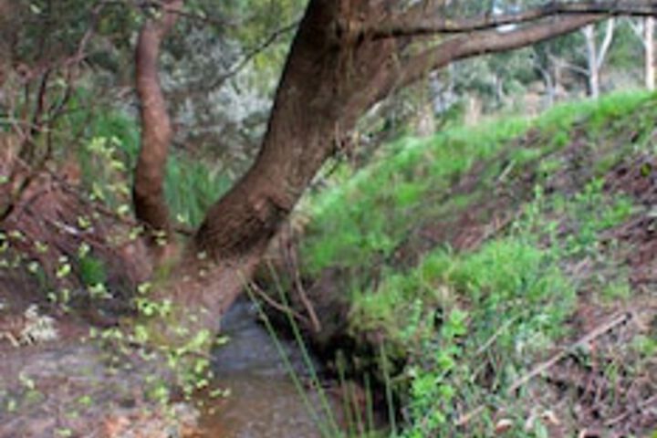 Mylor SA Accommodation Brunswick Heads