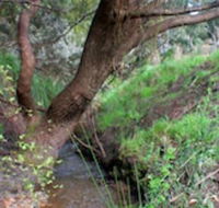 Longwood Retreat - Accommodation Brunswick Heads