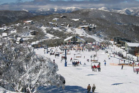 Snowflake 12 - Accommodation Brunswick Heads 7