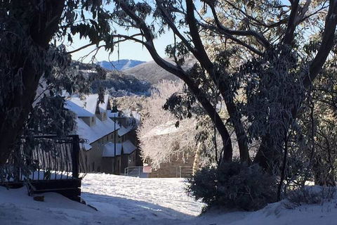 Snowflake 12 - Accommodation Brunswick Heads 6