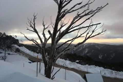 Snowflake 12 - Accommodation Brunswick Heads 0