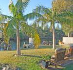 The Oasis on Jacobs Drive - Accommodation Brunswick Heads