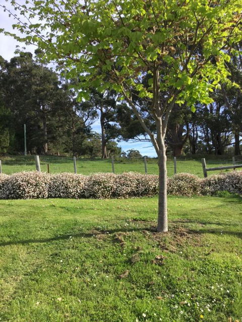 Nextdooratportarthur - Accommodation Brunswick Heads 3