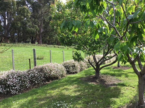 Nextdooratportarthur - Accommodation Brunswick Heads 1