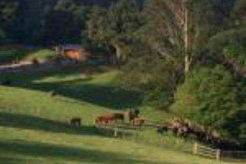 Amaroo Valley Springs - Accommodation Brunswick Heads 0