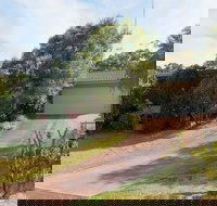 Wildflowers at Fingal Bay - Accommodation Brunswick Heads