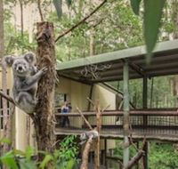 Springwood Meditation Vacation Center - Accommodation Brunswick Heads