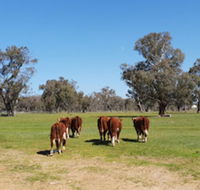 Jindera Park - Accommodation Brunswick Heads