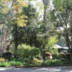 Two Sisters Chalets - Accommodation Brunswick Heads 1