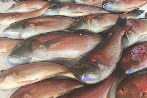 DRIFTWOOD - Accommodation Brunswick Heads 5