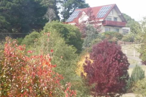 Abelia BIG SPA NO 1 Cottage - Accommodation Brunswick Heads 2