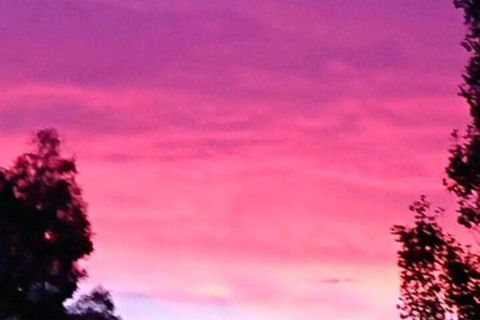 Abelia BIG SPA NO 1 Cottage - Accommodation Brunswick Heads 6
