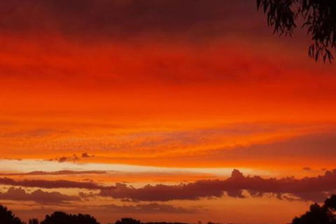 Abelia BIG SPA NO 1 Cottage - Accommodation Brunswick Heads 4