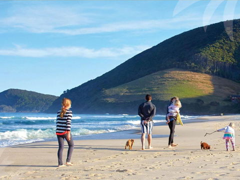 True Blue - Accommodation Brunswick Heads 3
