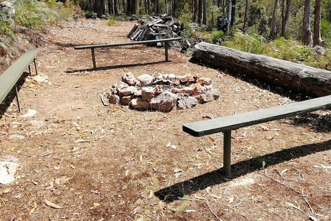 Minnow Cabins - Accommodation Brunswick Heads 5