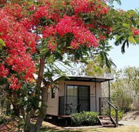 Mt Larcom Tourist Park - Accommodation Brunswick Heads