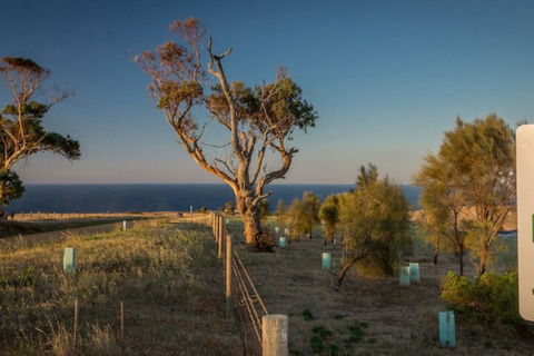 Fleurieu Coastal Retreat Lot 150 Myponga Beach Road - Accommodation Brunswick Heads 2
