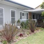 Natures Beauty In Berrara - Accommodation Brunswick Heads 0